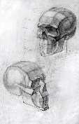 Рисунок черепа